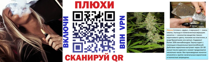 ГАШ гашик  Санкт-Петербург 