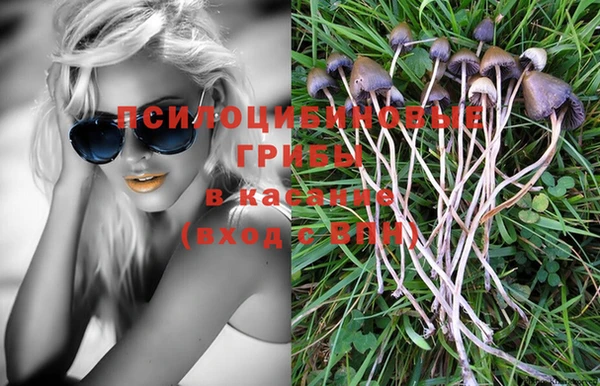 дурь Алексеевка