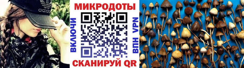 сайты даркнета наркотические препараты  Санкт-Петербург  Псилоцибиновые грибы Psilocybine cubensis 