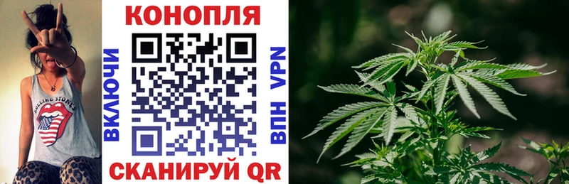 Шишки марихуана тримм  Санкт-Петербург 